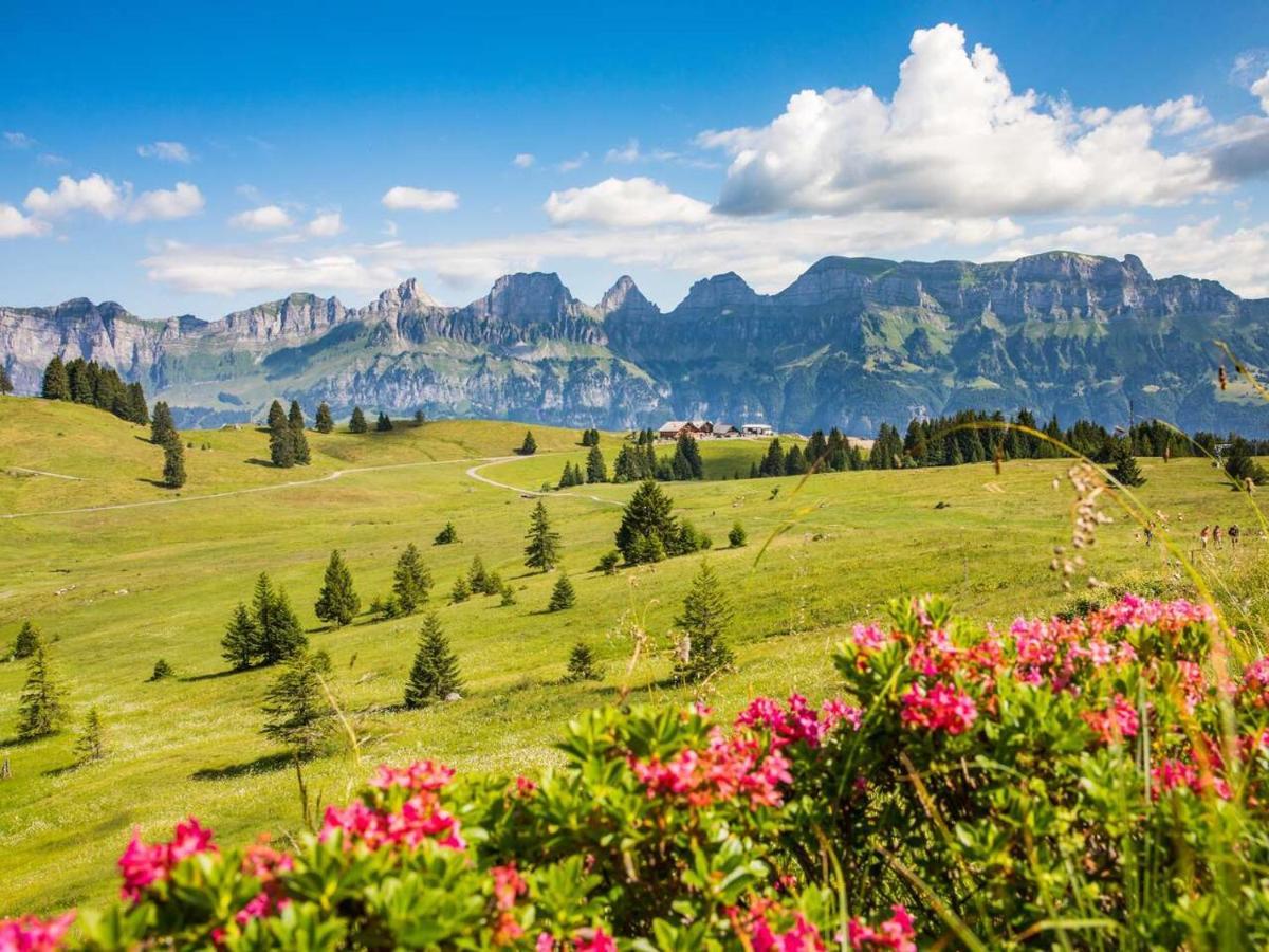 Aparthotel Edy Bruggmann Ag Flumserberg エクステリア 写真